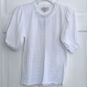 Loft NWT Top Size SP